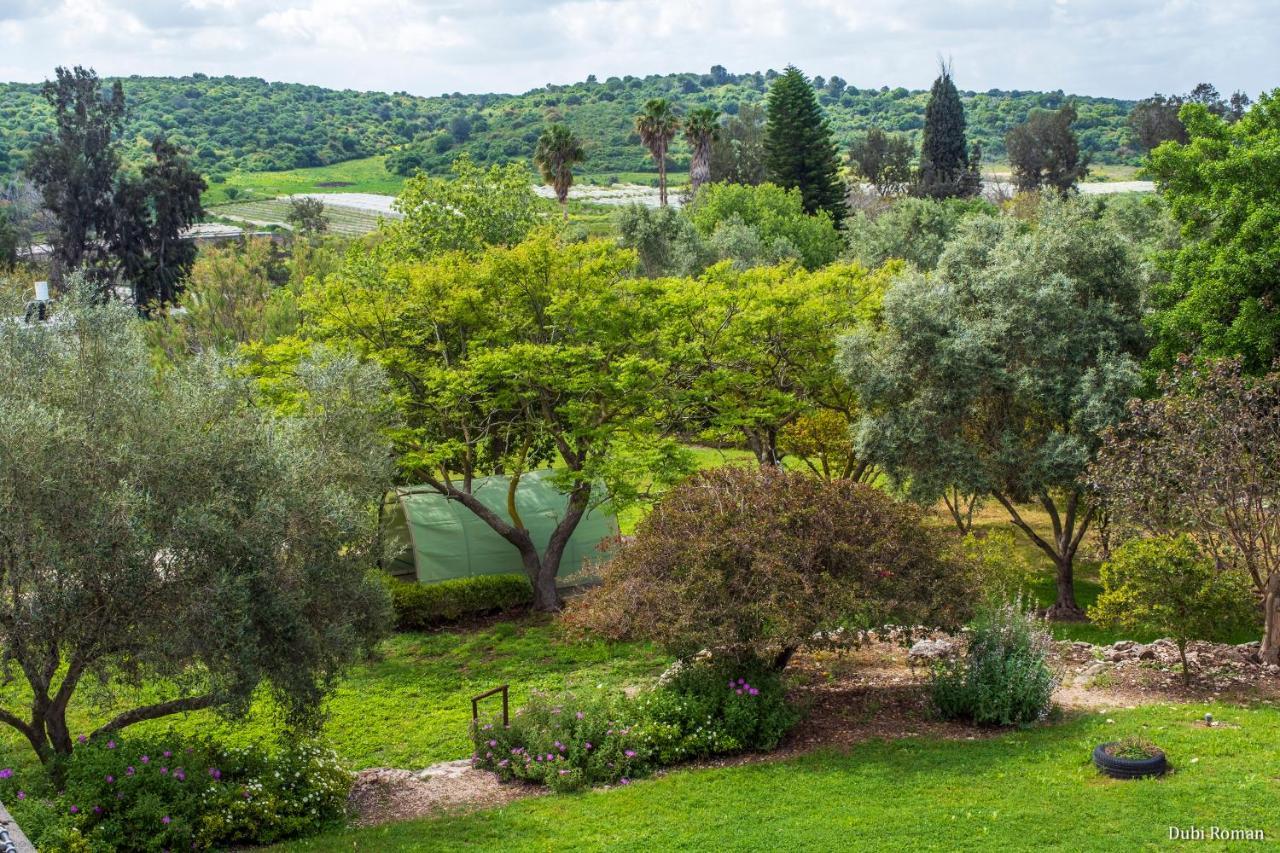 Amikam Meshek 81 משק 81 עמיקם Villa ภายนอก รูปภาพ