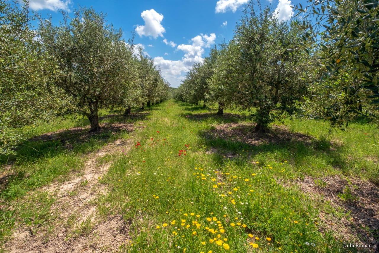 Amikam Meshek 81 משק 81 עמיקם Villa ภายนอก รูปภาพ