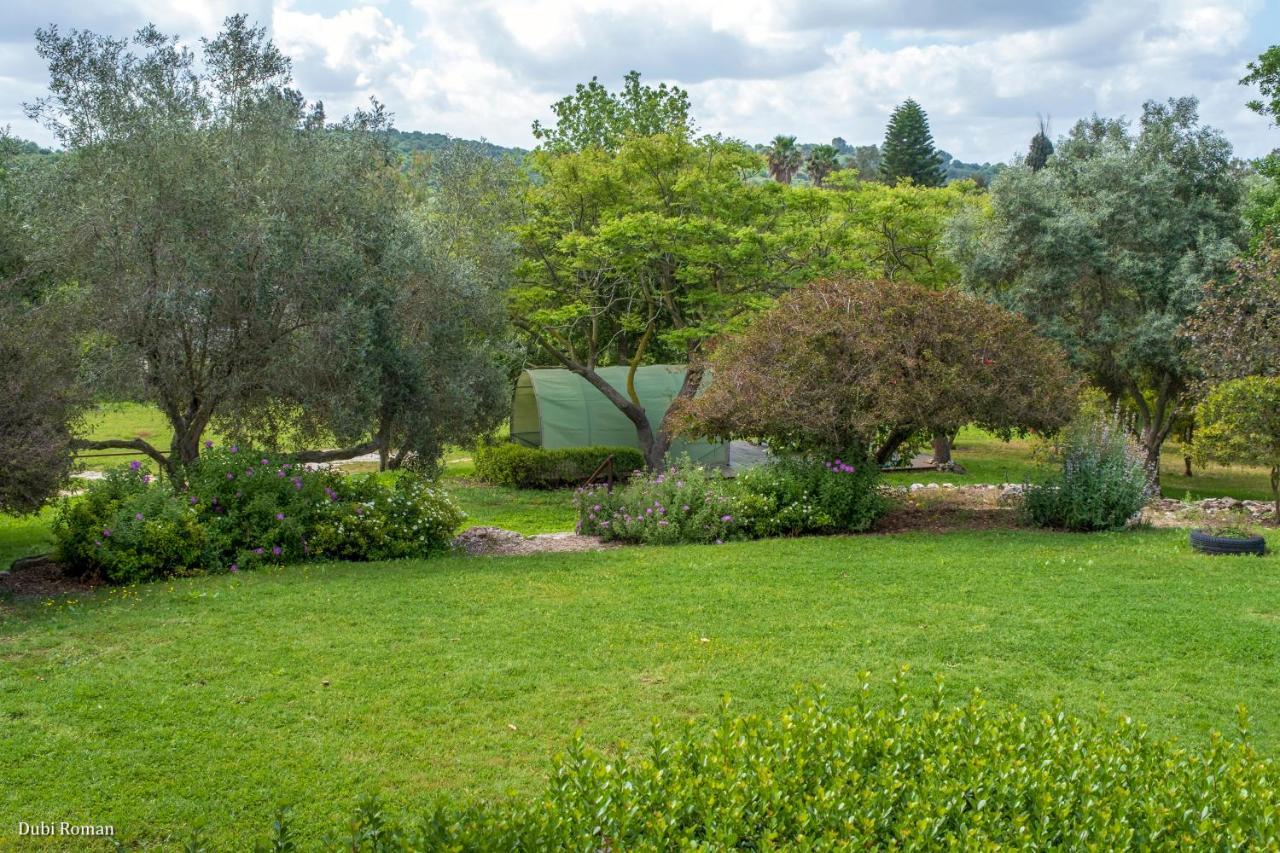 Amikam Meshek 81 משק 81 עמיקם Villa ภายนอก รูปภาพ