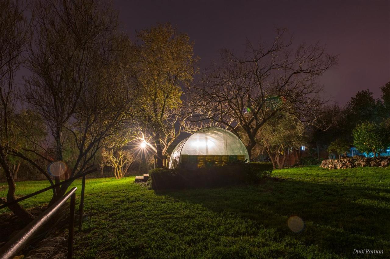 Amikam Meshek 81 משק 81 עמיקם Villa ภายนอก รูปภาพ