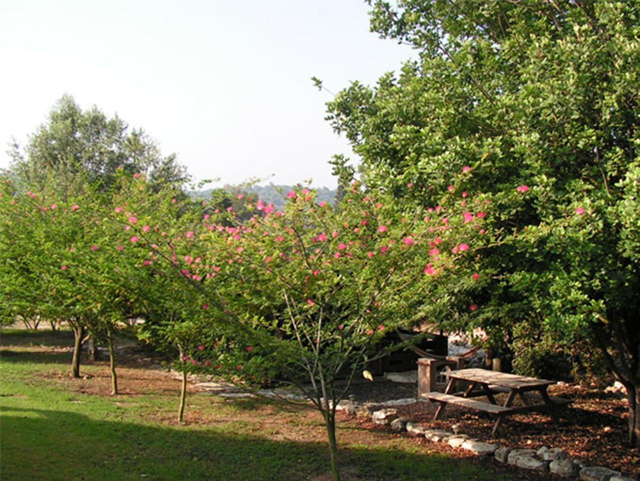 Amikam Meshek 81 משק 81 עמיקם Villa ภายนอก รูปภาพ